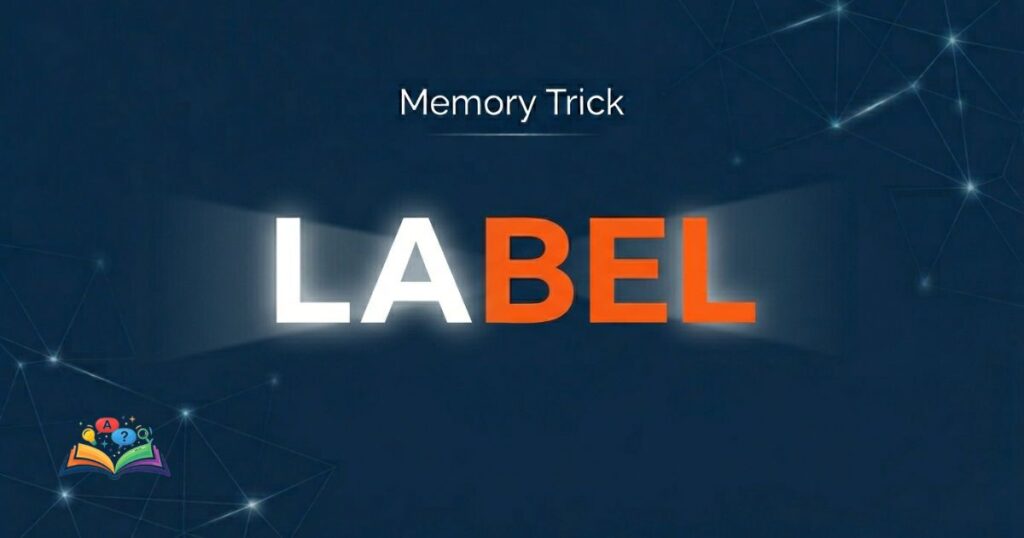 Memory trick showing correct spelling label with letter pattern emphasis