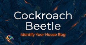 Premium title image comparing a cockroach and a beetle for accurate insect identification