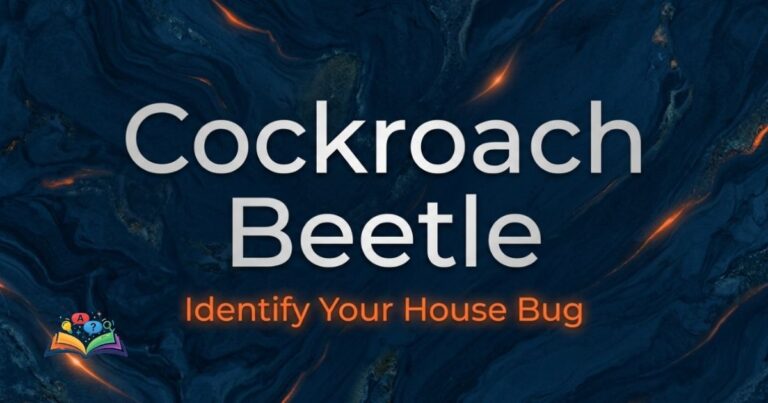 Premium title image comparing a cockroach and a beetle for accurate insect identification