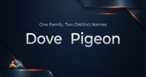 Premium graphic comparing the words dove and pigeon on a navy background