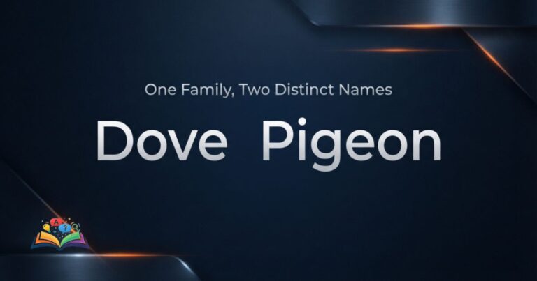 Premium graphic comparing the words dove and pigeon on a navy background