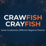 Crawfish or Crayfish visual comparison guide on a deep navy background with glowing orange light accents.